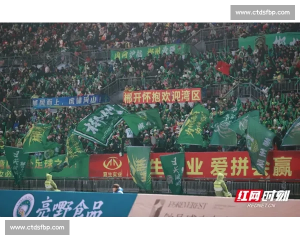 聚焦白鹏比赛全程解析实力突破与赛场风云新篇章背后故事与未来走向展望